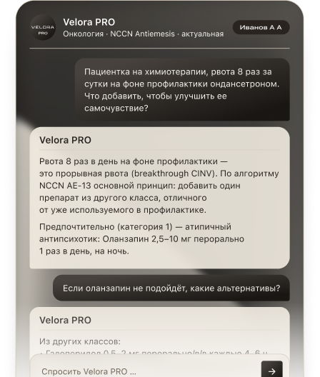 Чат Velora PRO